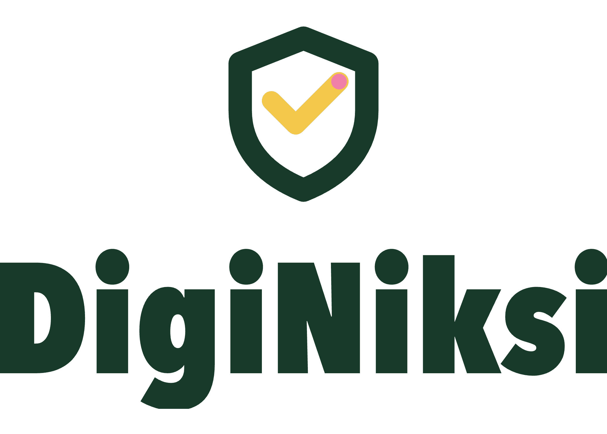 DigiNiksi logo